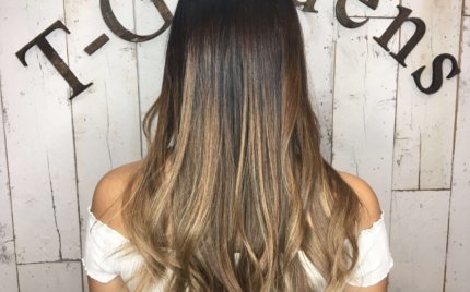 最新 アメリカで人気のオススメのシャンプーを徹底解説 T Gardens New York Hair Salon 最新 アメリカで人気のオススメのシャンプーを徹底解説 T Gardens New York Hair Salon